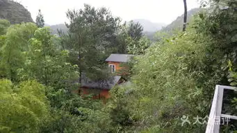 仙都四季田园山林里的小木屋图片缙云县酒店
