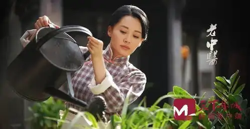 老中医今天开门开诊陈宝国冯远征曹可凡三个男人一台戏
