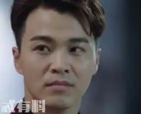 你和我的倾城时光陈铮和厉靳媛是什么关系陈铮喜欢厉靳媛吗结局是什么
