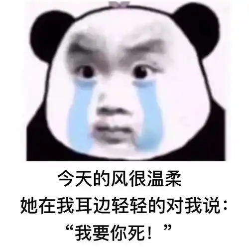 熊猫头表情包i做人呢,最重要的就是开心了