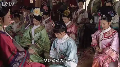 甄嬛传十级学者研究成果展示
