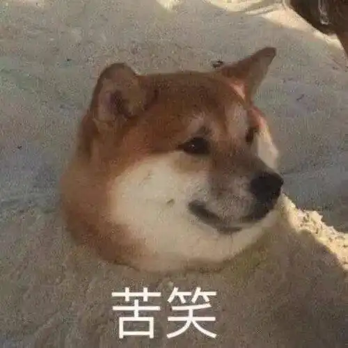 遇见你,在不可思议的夏天
