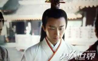 魏丑夫芈月同过房吗有孩子吗芈月和魏丑夫差多少岁5
