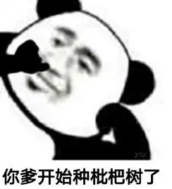 各种表情包大全熊猫
