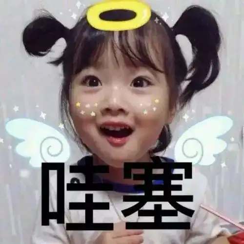 二胖表情包憨笑