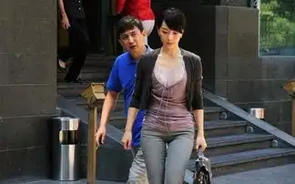 夫妻那些事续集大纲完成黄磊陈数还演夫妻