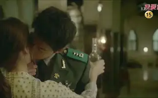 太阳的后裔的全部相关视频bilibili哔哩哔哩弹幕视频网

