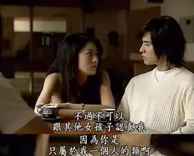 流星花园竟是一部鉴婊神剧

