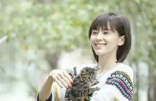 欢乐颂剧照