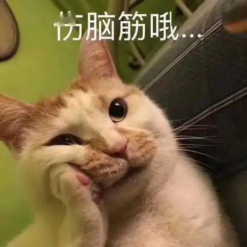 二胖表情包小婷