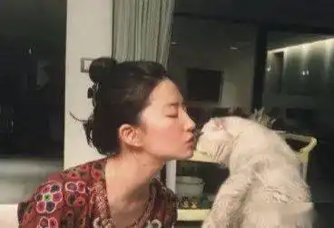 刘亦菲花木兰幕后照素颜出镜网友麻烦给买五斤偶像包袱
