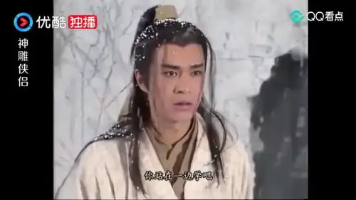 27神雕侠侣百年大战,西毒欧阳锋大战北丐洪七公,
