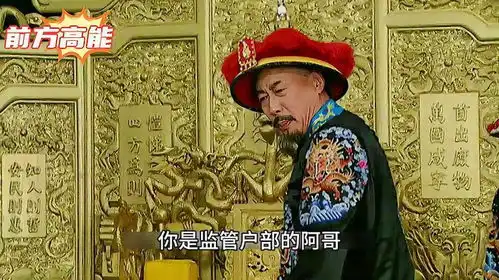 康熙一生无敌,柰何几位儿子更逆天雍正王朝唐国强
