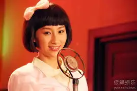 高洋演过的电视剧剧照刘