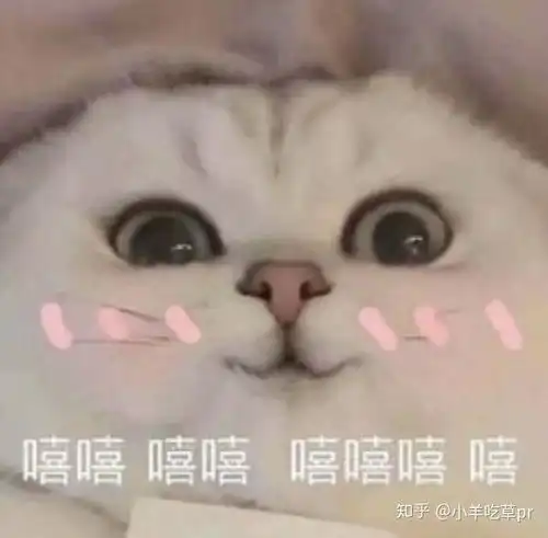年下恋,姐弟恋为什么父母会反对