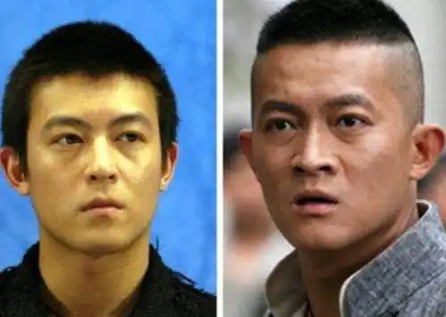 明星撞脸气质差距大,脸明明都一样,却能一个帅一个土