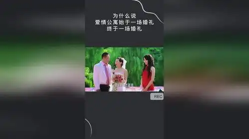 为什么说,爱情公寓始于一场婚礼,终于一场婚礼
