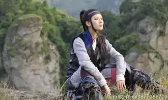 刘诗诗怪侠一枝梅
