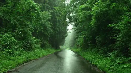 松社游记在夏天去北海道读冬天里的书