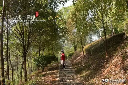 长沙南郊宝藏小森林,花开鸟鸣,人少清静,亲子郊游佳处