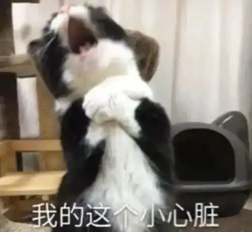 最高33江西要入夏了