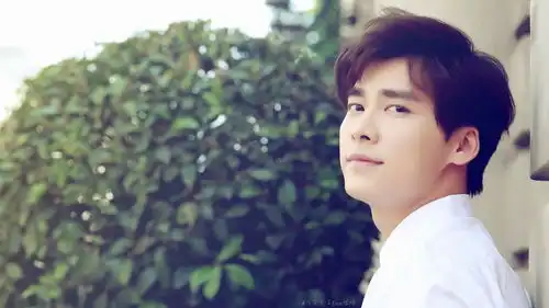 历经7轮淘汰赛,票选最受欢迎男明星冠军今日诞生
