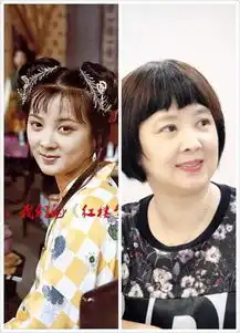 87版红楼梦30年,人物今昔照片对比引人唏嘘
