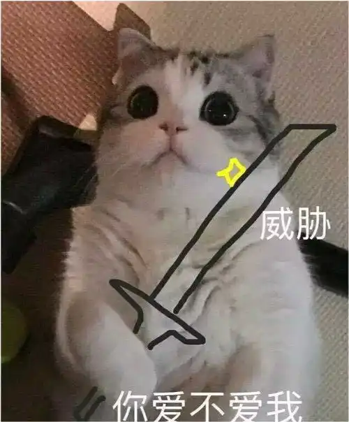 无标题
