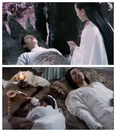 把醉玲珑看出了三生三世步步惊心楚乔传的fu,我是一个人吗
