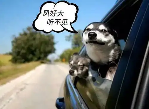 赣b车主,快看看你车上有这块玻璃吗如果有,恭喜你车值钱了