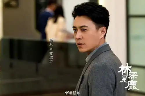 靳东是21世纪前期内娱颜值最高的男明星,男女明星都比不过他