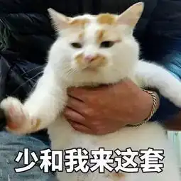 何猷君为示爱被旅游局指控毁坏文物更尴尬滴是奚梦瑶的表情
