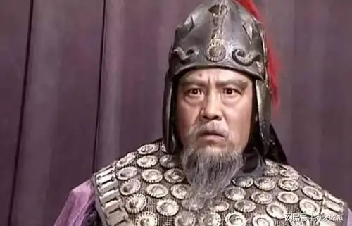 三国演义中,严颜投奔张飞后,为何再没有什么大作为了
