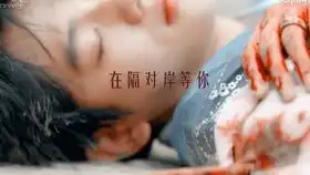 银树火花
