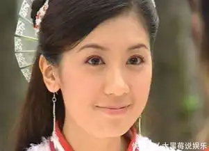 倚天屠龙记5大演员现状贾静雯补办婚礼,她被丈夫宠成公主
