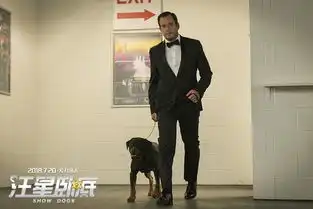 汪星卧底曝新特辑7.20人犬怼戏笑果十足
