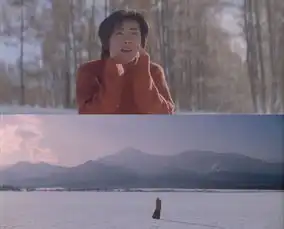 谁不想文艺又轻松地去一趟北海道
