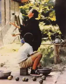 侯孝贤拍生命的本质,还得看小人物

