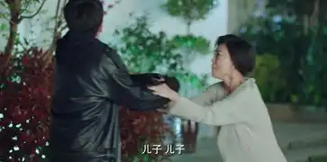 推手第16集分集剧情电视剧
