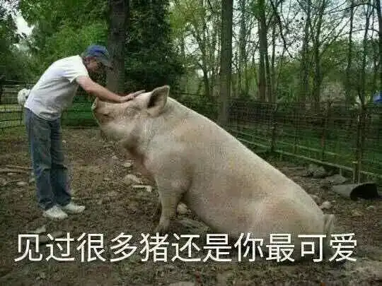 惊不惊喜意不意外你们的青城山2天1夜免费体验是假的
