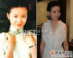 小三艳照出轨十大明星扑朔迷离的离婚谜团49