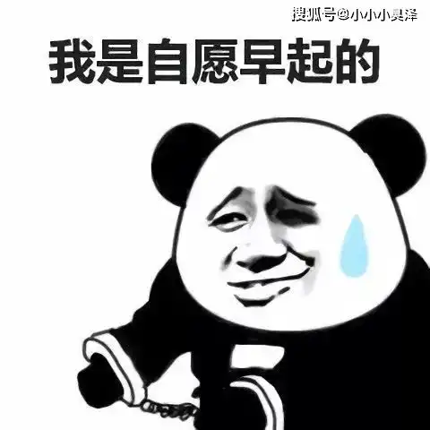 突然感觉这么多年书白读了,智商被按在地上摩擦
