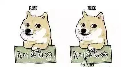 本汪今天过节,求祝福要不看个猫片吧丨爆笑动图