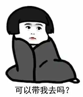对不起老板,我要辞职去迪拜捡垃圾了.....