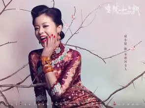 金陵十三钗绝美台历写真
