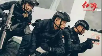 红海行动武器装备全解析看看这些大国重器
