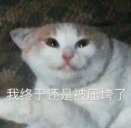 网恋表情包图片我顶的住,达成共识,我可以撩你吗
