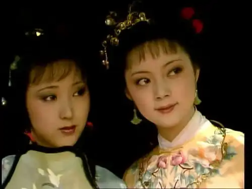 薛宝琴撒了一个谎,被黛玉给揭穿了,原来大有深意
