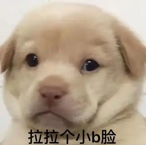 520都在秀恩爱,有本事61秀孩子
