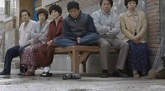 豆瓣9.7请回答1988又下雪了,那个为你守护梦想的人还在吗
